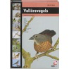 Volièrevogels by Adri van Kooten