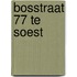 Bosstraat 77 te Soest