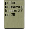 Putten, Drieseweg tussen 27 en 29 door S. Nederpelt