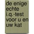 De enige echte i.q.-test voor u en uw kat