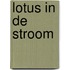 Lotus in de stroom