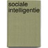 Sociale intelligentie