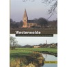 Landschap Westerwolde door F. Tamis