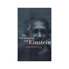 De vernietiging van Einstein by Van Londersele