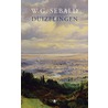 Duizelingen