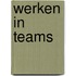 Werken in teams