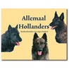 Allemaal Hollanders by Unknown