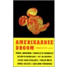 Amerikaanse droom by Pearl Abraham