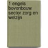 1 Engels bovenbouw Sector Zorg en Welzijn