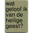 Wat geloof ik van de Heilige Geest?