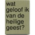 Wat geloof ik van de Heilige Geest?