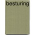 Besturing