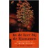 In de leer bij de Sjamanen