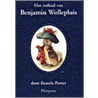 Het verhaal van Benjamin Wollepluis