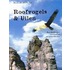 Roofvogels en uilen in Europa