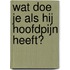 Wat doe je als hij hoofdpijn heeft?