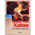 Spelen met katten