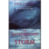 De meteoroloog en de storm door Elyse Larson