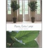Plants, extra large by Ki Plant International