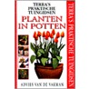 Planten in potten
