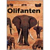 Olifanten by Bernard Taylor