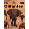 Olifanten door Bernard Taylor