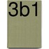 3B1