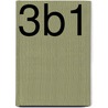 3B1 door J. van Braak