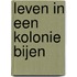 Leven in een kolonie bijen