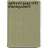 Oplossingsgericht management