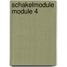 Schakelmodule module 4 door Hennie Schouten