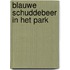 Blauwe Schuddebeer in het park