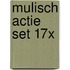 Mulisch actie set 17x