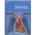 Sobotta