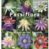 Passiflora