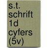 S.T. SCHRIFT 1D CYFERS (5V) door Maria Van Gils-De Bonth