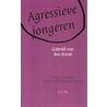 Agressieve jongeren by GabriëL. Van den Brink