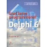 Snel leren programmeren Delphi 6 door T. Binzinger