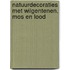 Natuurdecoraties met wilgentenen, mos en lood
