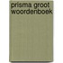 Prisma groot woordenboek