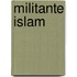 Militante islam