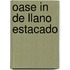 Oase in de llano estacado