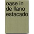 Oase in de llano estacado