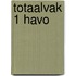 Totaalvak 1 havo
