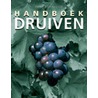 Handboek druiven by F. Lorsheijd