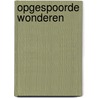 Opgespoorde wonderen by Rudi Kousbroek
