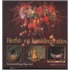 Herfst- en kerstdecoraties