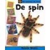 Spin