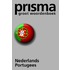Prisma groot woordenboek