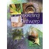 Ontwikkeling of ontwerp